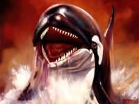 orca-the-killer-whale00.jpg
