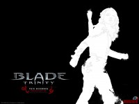 blade-trinity09.jpg